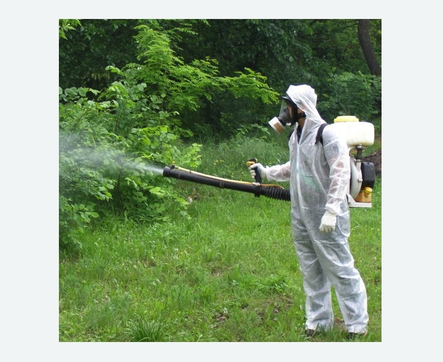 обработка территории от клещей в Приморске