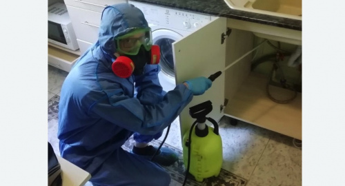 Уничтожение муравьев в квартире. Приморск