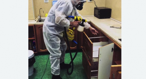Уничтожение насекомых в квартире. Приморск