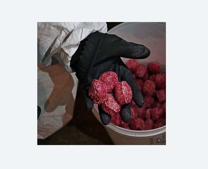 Обработка от крыс в Приморске