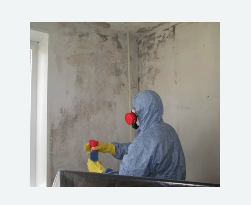 Удаление плесени в квартире в Приморске