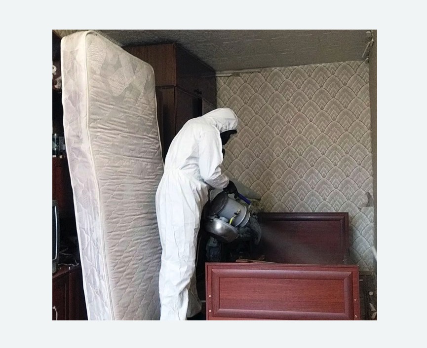 дезинфекция от клопов в Приморске