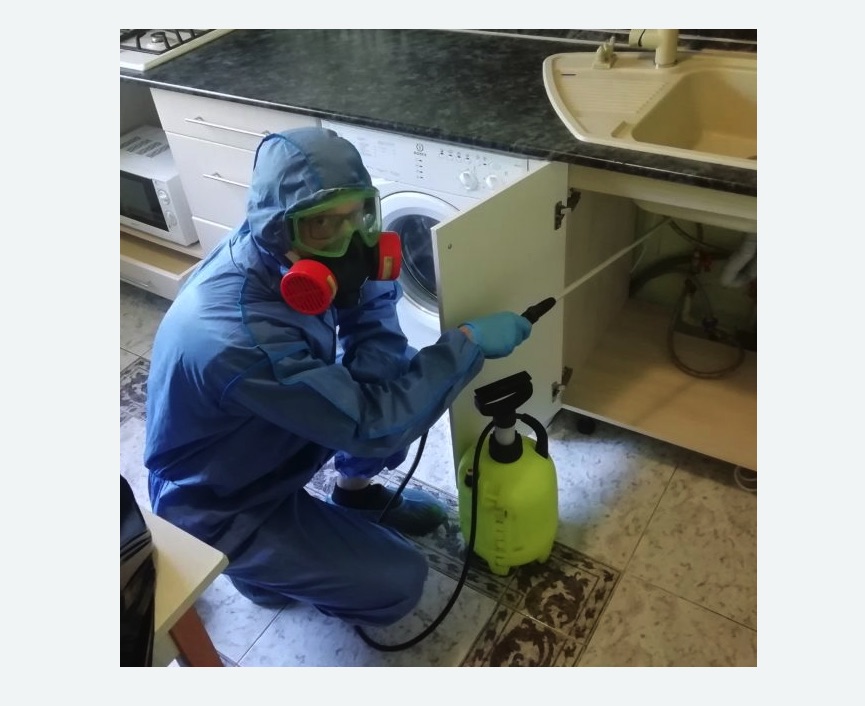 обработка от муравьев в квартире в Приморске