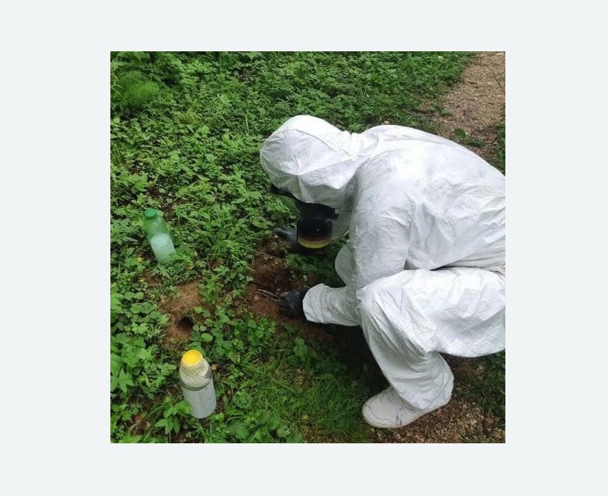 уничтожение кротов на участке в Приморске