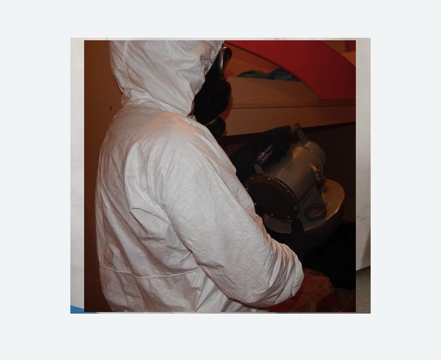 Дезинфекция от муравьев в Приморске