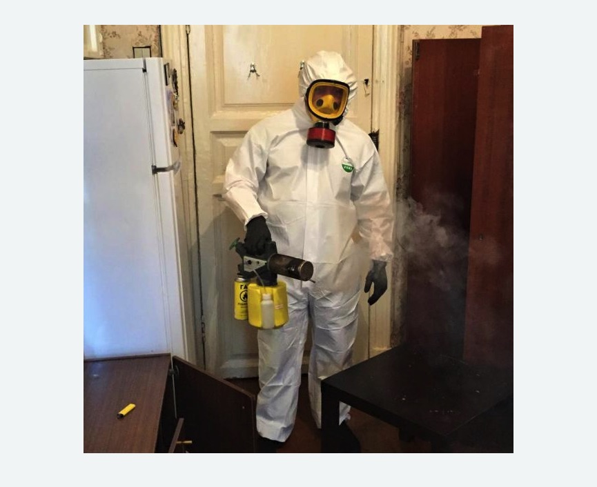 уничтожение муравьев в квартире в Приморске